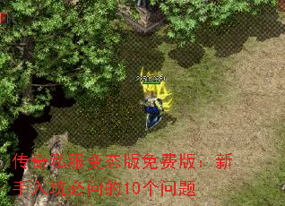 ˽̬Ѱ棺ӱʵ10