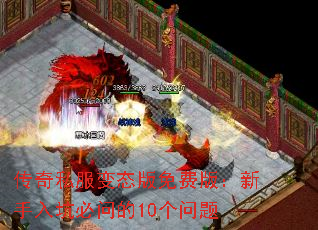 ˽̬Ѱ棺ӱʵ10