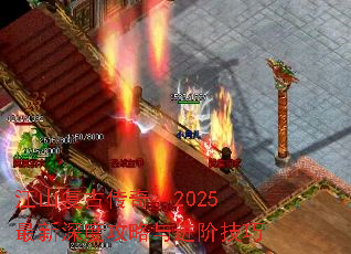 ɽŴ棺2025ȹ׼