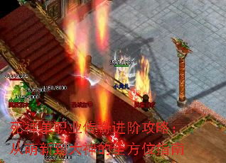 ְҵ׹ԣµȫλָ