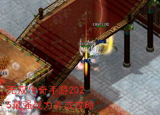 ˫2025ǿսɹ