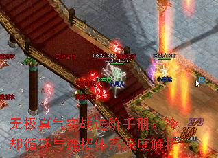 ޼ʵսֲ᣺ȴѭϵȽ