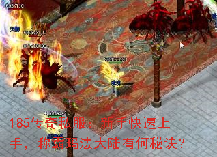 185˽ֿ֣ư귨½кؾ