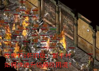 176ɰ棺ִο