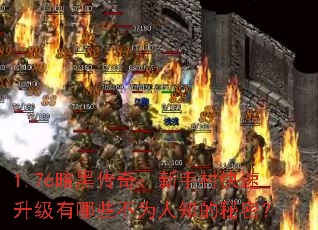 1.76ڴ棺ִЩΪ֪ܣ