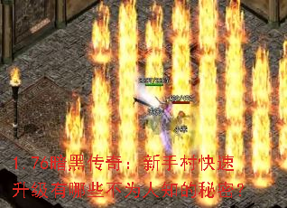 1.76ڴ棺ִЩΪ֪ܣ