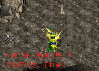 ¿ְҵ棬οִ