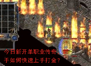 ¿ְҵ棬οִ