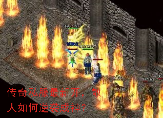 ˽¿ɢϮ