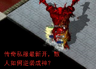 ˽¿ɢϮ