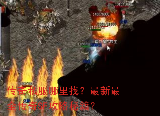 ˽ңȫSFؼ