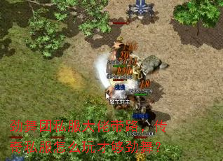 ˽д·˽ôŹ裿