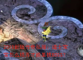 2018°洫˽ʿôܵBOSS