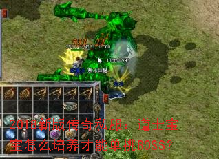 2018°洫˽ʿôܵBOSS