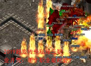 2019䴫˽ְҵģĸְҵ㣿