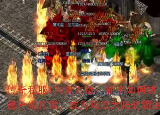 ˽176Ű棺ο򱦣Ϊ귨½İ