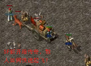SF¿棬ɢοɣ