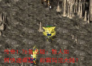 1.76Ű棺ɢο𣬳ư귨½
