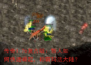 1.76Ű棺ɢο𣬳ư귨½