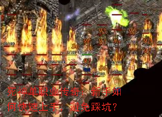 ְҵ棺ο֣ȿӣ