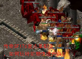 SF176ŵְҵתǰڿ