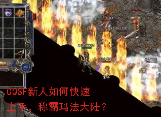 CQSFο֣ư귨½