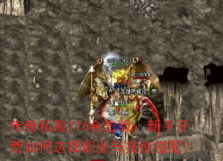˽176ϻ棺ֿѡְҵ뼼ܴ䣿