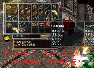 ˽176ϻ棺ֿѡְҵ뼼ܴ䣿
