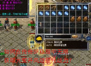 ڴSF˽޻ȡԪЧս
