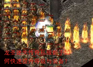 ʥʧ˽οȼװ