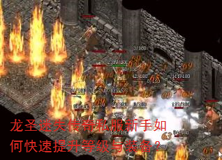 ʥʧ˽οȼװ