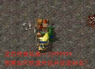 ̬˽һ999999˺οȡװ
