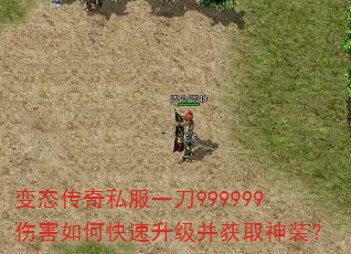 ̬˽һ999999˺οȡװ