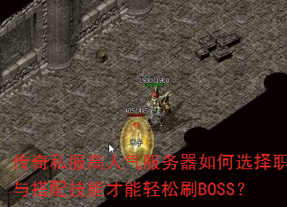 ˽ѡְҵ似ܲˢBOSS