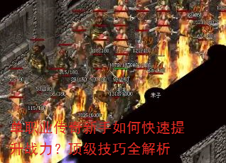 ְҵοսȫ
