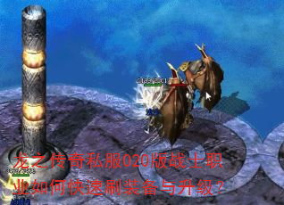 ֮˽020սʿְҵοˢװ