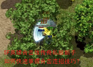 SFӢۺϻ洫˽οպϻмɣ