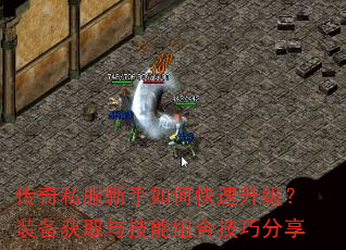 ˽οװȡ뼼ϼɷ