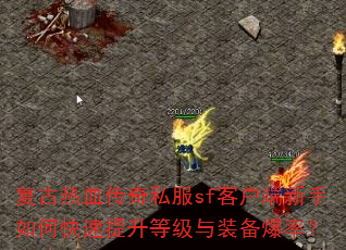 复古热血传奇私服sf客户端新手如何快速提升等级与装备爆率? 复古热血传奇私服sf客户端新手如何快速提升等级与装备爆率?