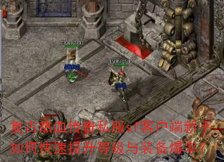 复古热血传奇私服sf客户端新手如何快速提升等级与装备爆率? 复古热血传奇私服sf客户端新手如何快速提升等级与装备爆率?