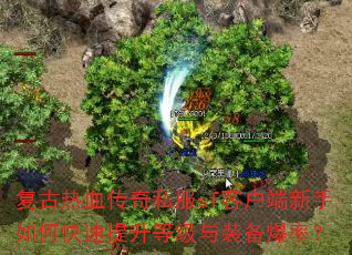 复古热血传奇私服sf客户端新手如何快速提升等级与装备爆率? 复古热血传奇私服sf客户端新手如何快速提升等级与装备爆率?