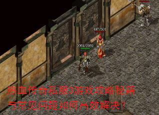 热血传奇私服3游戏攻略秘籍与常见问题如何高效解决? 热血传奇私服3游戏攻略秘籍与常见问题如何高效解决?