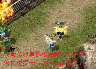 传奇私服单机版免费版新手如何快速提升等级与获取装备? 传奇私服单机版免费版新手如何快速提升等级与获取装备?