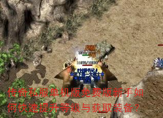 传奇私服单机版免费版新手如何快速提升等级与获取装备? 传奇私服单机版免费版新手如何快速提升等级与获取装备?
