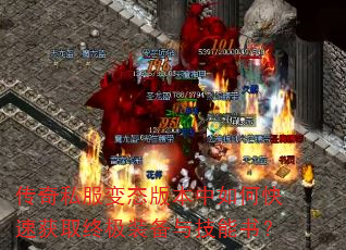 ˽̬汾οٻȡռװ뼼飿