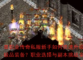 ְҵ˽οȡƷװְҵѡ븱սȫ