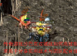 ϷɳͿ˹սθЧָӣַʵսŶϼ