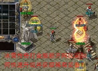 冰雪传奇打金服新开网玩家如何快速升级并获取稀有装备? 冰雪传奇打金服新开网玩家如何快速升级并获取稀有装备?