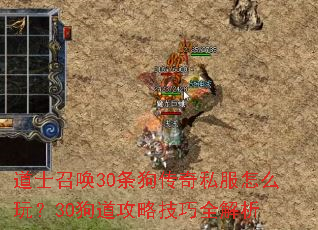 道士召唤30条狗传奇私服怎么玩?30狗道攻略技巧全解析 道士召唤30条狗传奇私服怎么玩?30狗道攻略技巧全解析