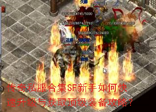 ˽ϼSFοȡװԣ